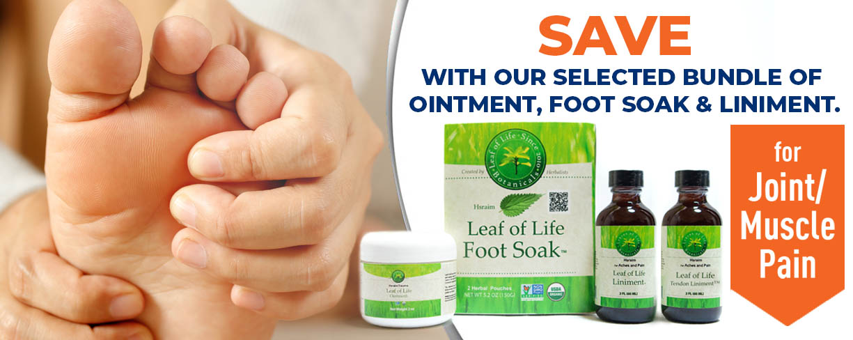 Joint Muscle without Price